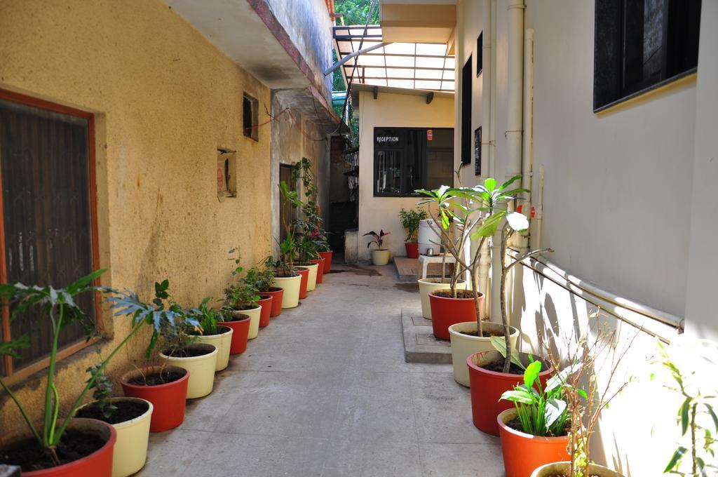 Hotel Oasis 2*