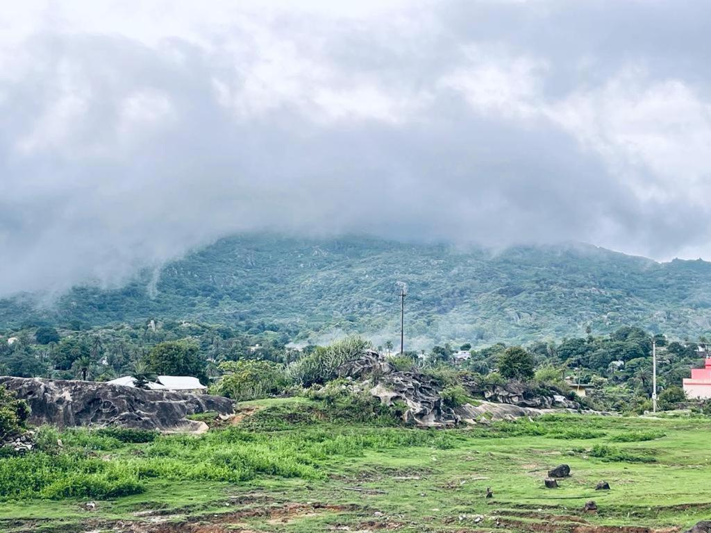 Golden Veena- Mount Abu- 1 Km From Nakki Mount Abu