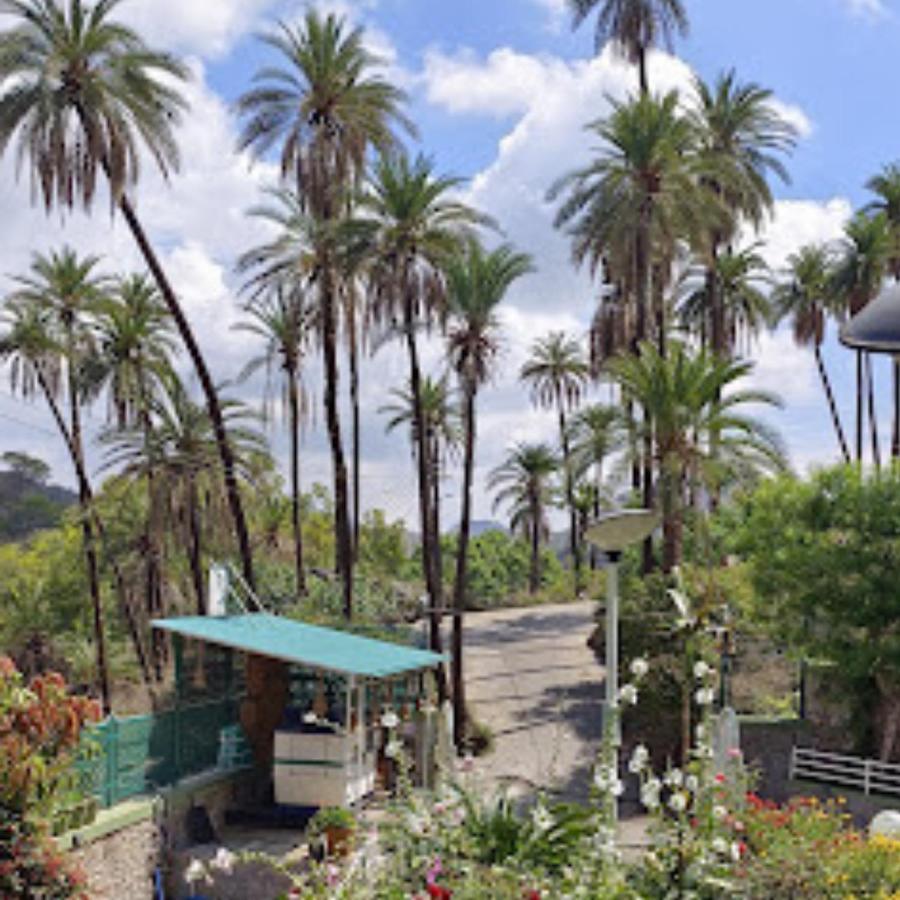 Resort Hari Niwas - A Boutique Garden Mount Abu