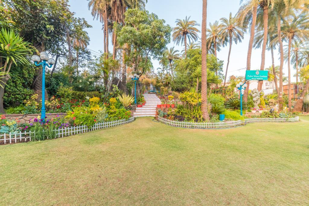 Hillock Mount Abu