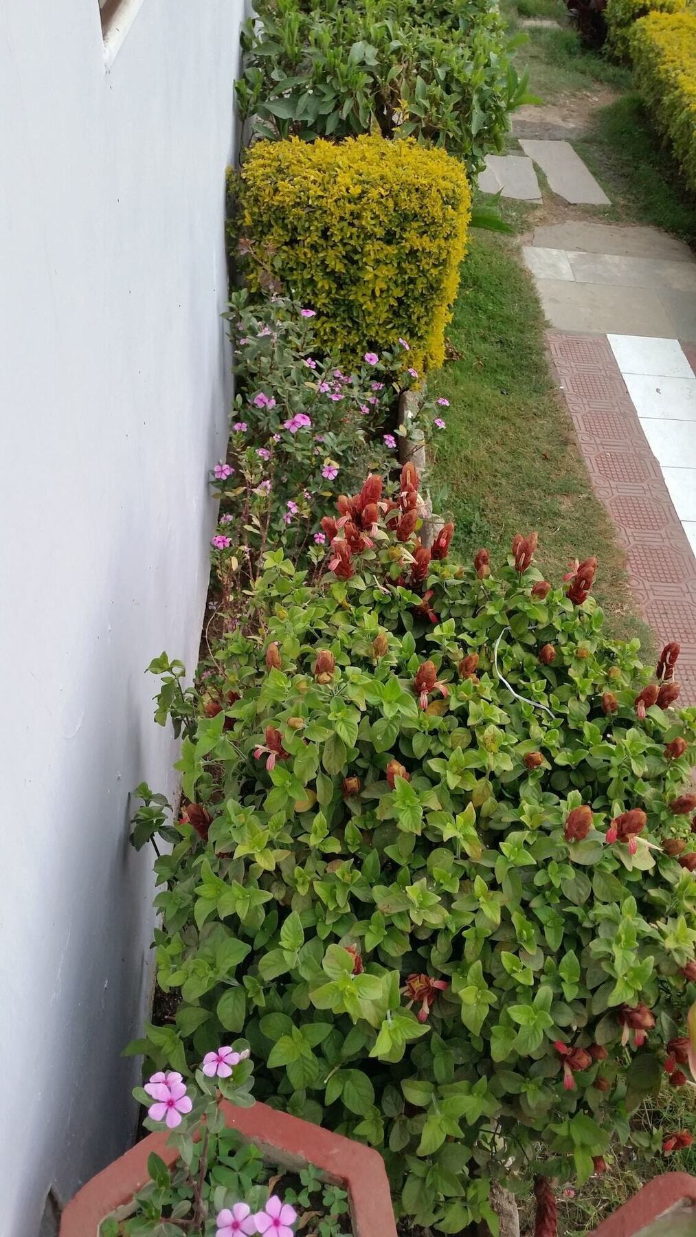 New Mamta Hotel 3*