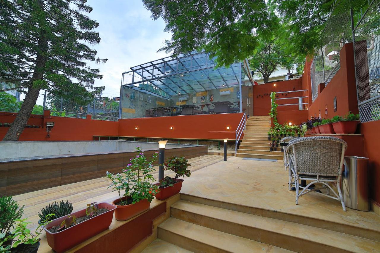 Marigold With Swimming Pool