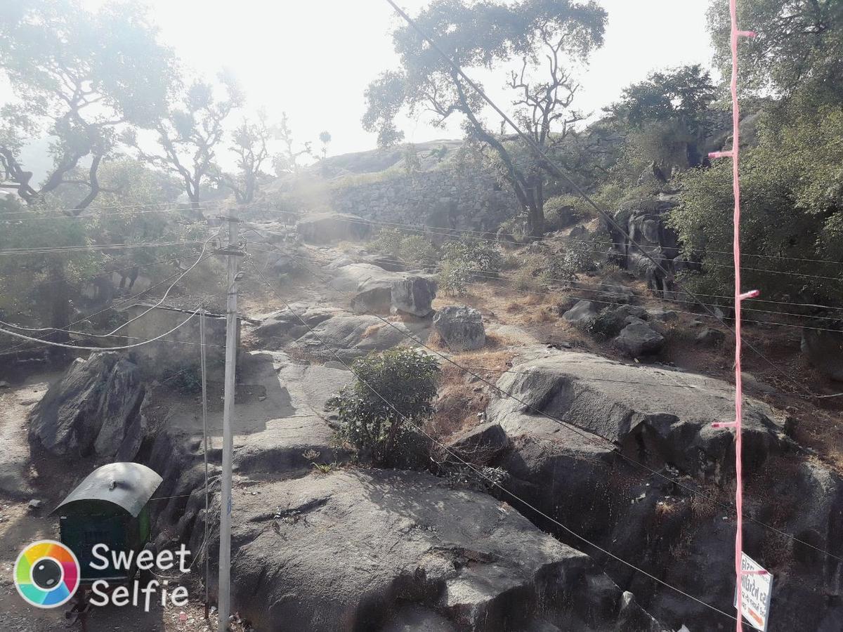Hotel Mountain View Mount Abu