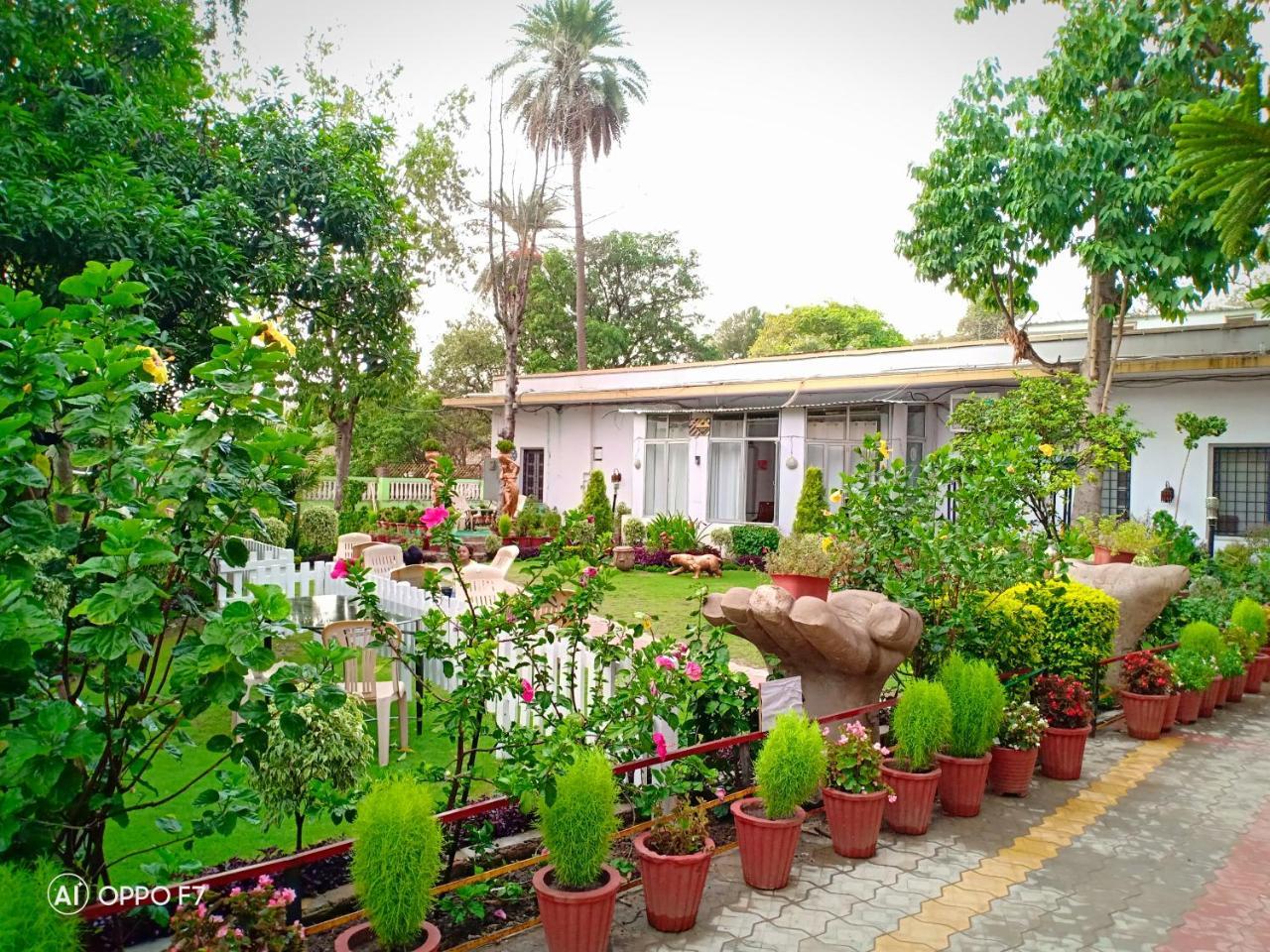 Toppers Corner Hotel Mount Abu